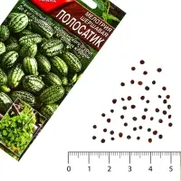 Семена Мелотрия (мышиная дыня) &laquo;Полосатик&raquo;, 0.03 г, &laquo;Аэлита&raquo;
