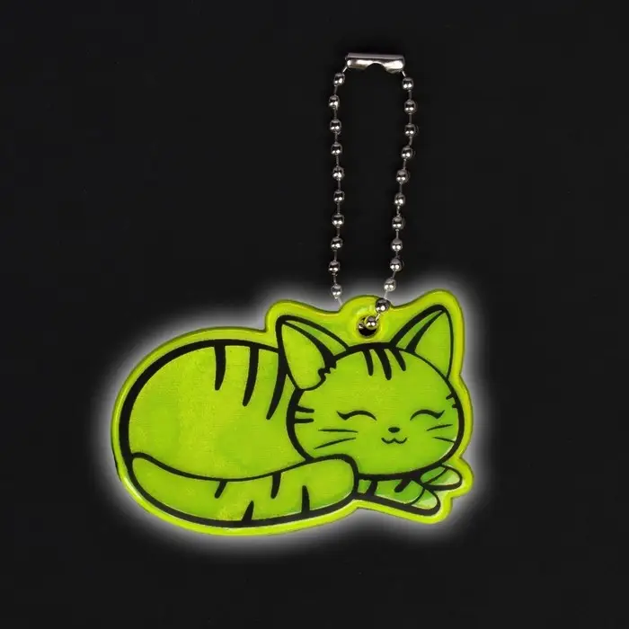 Светоотражающий элемент «Кошечка», двусторонний, 5.5×3.7 см, МИКС Светоотражающий элемент «Кошечка», двусторонний, 5.5×3.7 см, МИКС