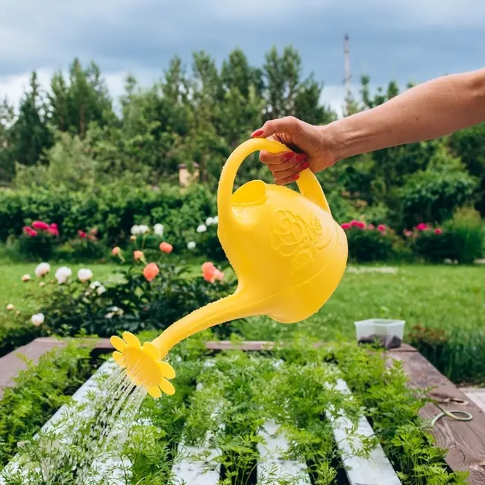 Лейка, 2.5 л, с рассеивателем, носик d=18 мм, цвет МИКС