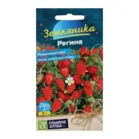 Семена Земляника &laquo;Регина&raquo;, ремонтантная, 0.03 г, &laquo;Семена Алтая&raquo;
