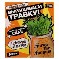 Набор для опытов &laquo;Выращиваем травку&raquo;, своими руками, оранжевый