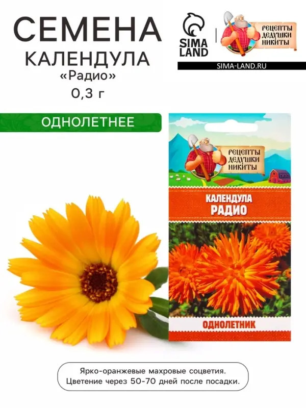 Семена цветов Календула &laquo;Радио&raquo;, 0.3 г, &laquo;Рецепты дедушки Никиты&raquo;