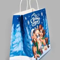 Пакет подарочный «Коняшки 2025», белый крафт, 32 × 28 × 15 см