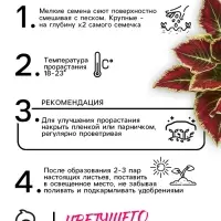 Семена Цветов Колеус "Визард", 10 шт