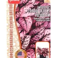Семена цветов Гипоэстес Splash Select Pink, 4 шт., &laquo;Григорьев&raquo;