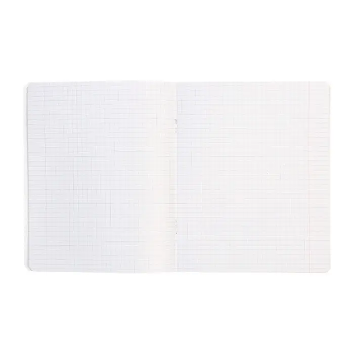 Тетрадь 18 листов в клетку Calligrata "Однотонная Классика в точку. Эконом", обложка мелованный картон, ВД-лак, блок №2 (серые листы), МИКС