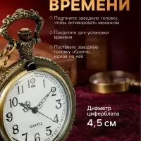Часы карманные &laquo;Змея&raquo;, кварцевые, длина цепочки 40 см, циферблат d=4.5 см, медные