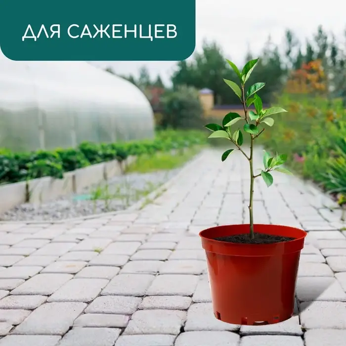 Горшок для рассады, 5 л, d=22 см, h=18 см, пластик, терракот, Greengo