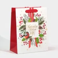 Пакет подарочный новогодний ламинированный «Чудесного Нового Года», MS 18 х 23 х 10 см