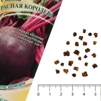 Семена Свекла "Красная Королева", ц/п,  3 г