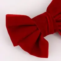 Бант для волос на заколке, бархатный, красный, 2 штуки, &laquo;Винкс&raquo;