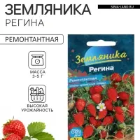 Семена Земляника &laquo;Регина&raquo;, ремонтантная, 0.03 г, &laquo;Семена Алтая&raquo;