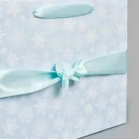 Пакет подарочный с лентой &laquo;Снежинки&raquo;, ML 27&times;23&times;11.5 см