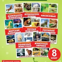 Мини - энциклопедии &laquo;Мир животных&raquo;, 8 шт. по 20 стр.