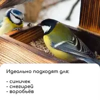 Деревянная кормушка - конструктор &laquo;Птица на дереве&raquo;, своими руками, 14.5&times;18.5&times;19.5 см, Greengo