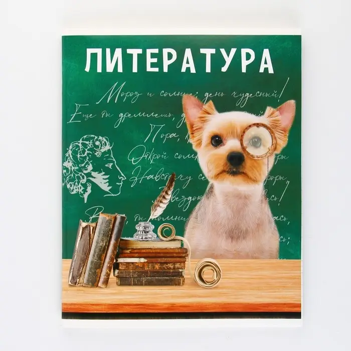 Тетрадь в линейку, предметная, 48 л., на скрепке, А5 &laquo;МИЛЫЕ ПИТОМЦЫ. Литература&raquo;