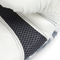 Боксерские перчатки FIGHT EMPIRE, PRIDE, белые, размер 12 oz
