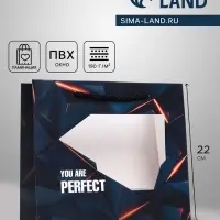 Пакет подарочный с окном Perfect, 25&times;10&times;22 см