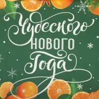 Коробка для кондитерских изделий с пластиковой крышкой «Мандарины», 10.5 х 21 х 3 см
