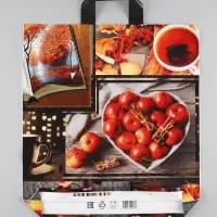 Пакет "Коллаж осень",  полиэтиленовый с петлевой ручкой, 40*43 см, 60 мкм