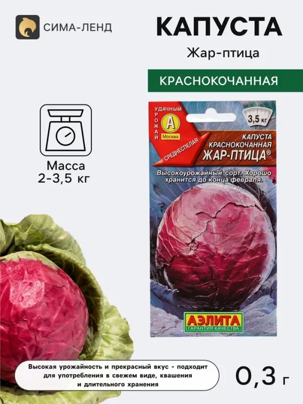 Семена Капуста краснокочанная &laquo;Жар-птица&raquo;, 0.3 г, среднеспелая, &laquo;Аэлита&raquo;