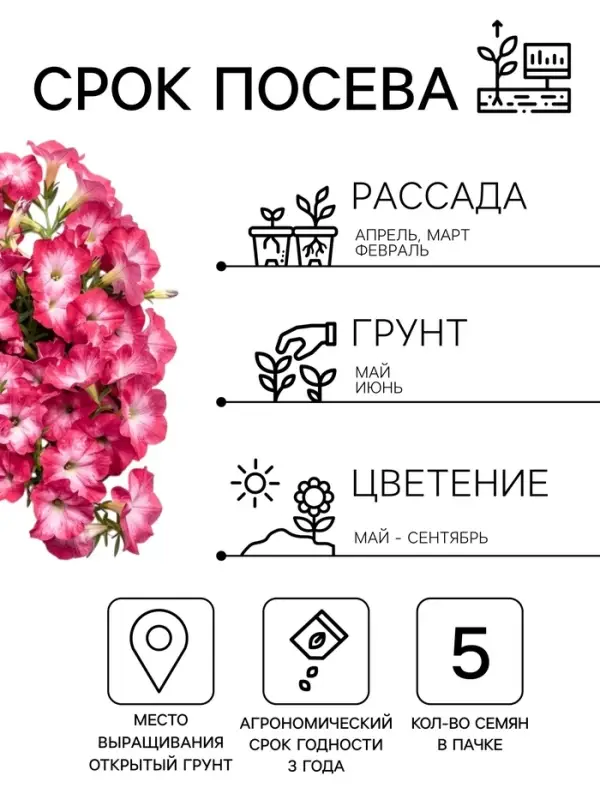 Семена цветов Петуния &laquo;Нуволари&raquo; F1, дасти морн, полуампельная, 5 шт.