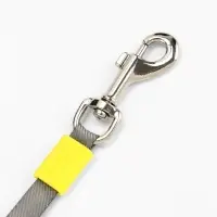 Рулетка - поводок для собак, лента 3 метра, зелёная