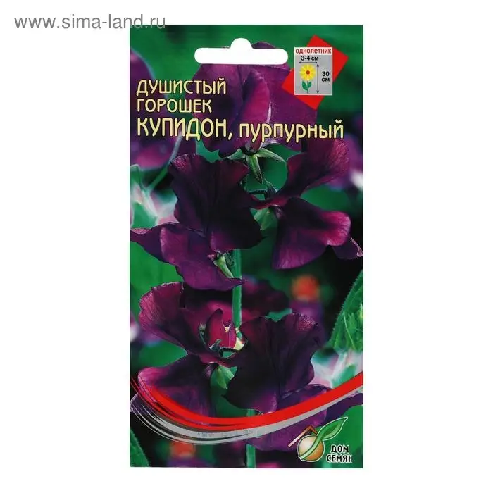 Семена цветов  Горошек душистый  Семена цветов  Горошек душистый "Купидон", пурпурный, 6 шт