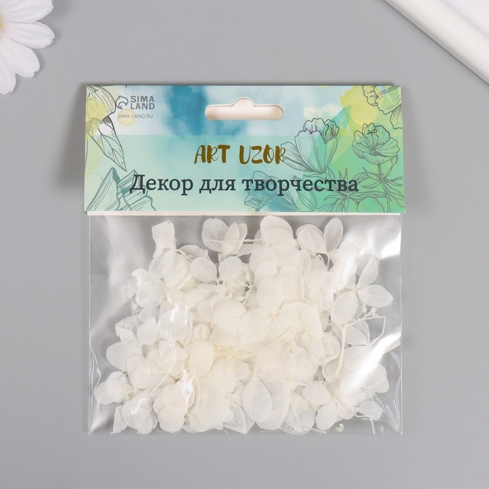 Сухоцвет Сухоцвет "Гортензия" белый h=6-6,5 см
