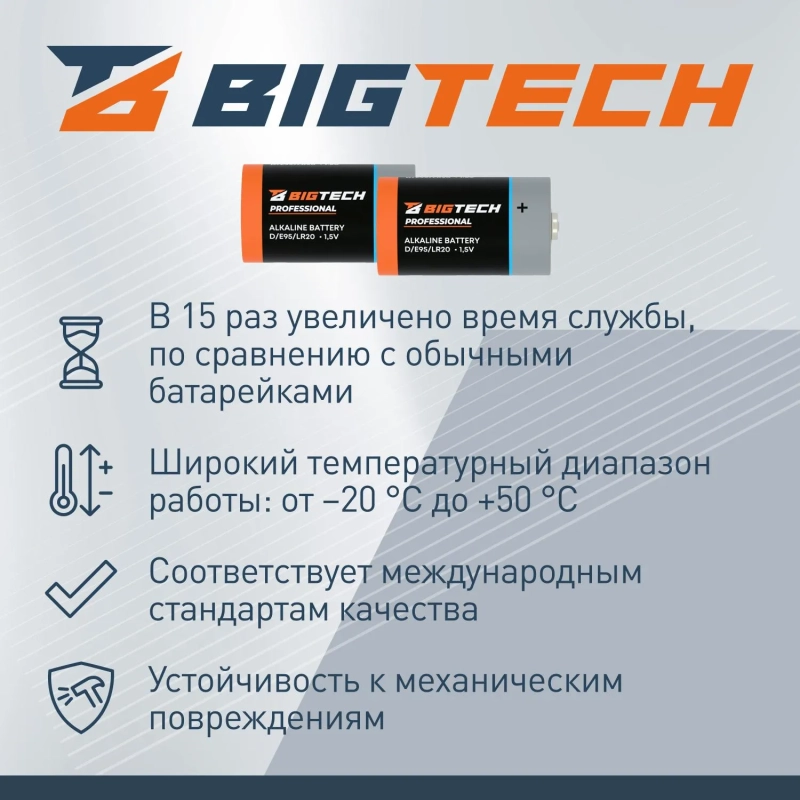 Батарейка BigTech Professional D/E95/LR20 бл/2шт