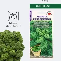 Семена Капуста &laquo;Кале зелёная листовая&raquo;, 0.3 г, &laquo;Золотая Сотка Алтая&raquo;