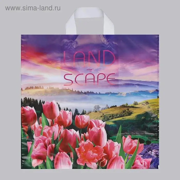 Пакет «Просторы», полиэтиленовый с петлевой ручкой, 38×42 см, 40 мкм Пакет «Просторы», полиэтиленовый с петлевой ручкой, 38×42 см, 40 мкм