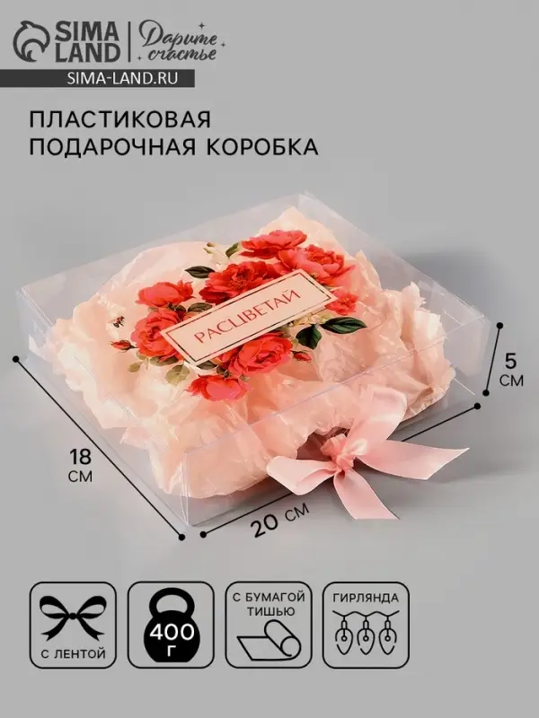 Коробка подарочная пластиковая с тишью и гирляндой &laquo;Расцветай&raquo;, 20&times;18&times;5 см
