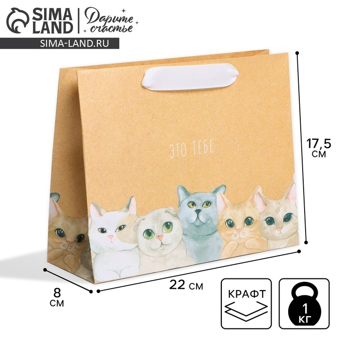 Пакет подарочный крафтовый, упаковка, «Тебе», 22 х 17,5 х 8 см Пакет подарочный крафтовый, упаковка, «Тебе», 22 х 17,5 х 8 см