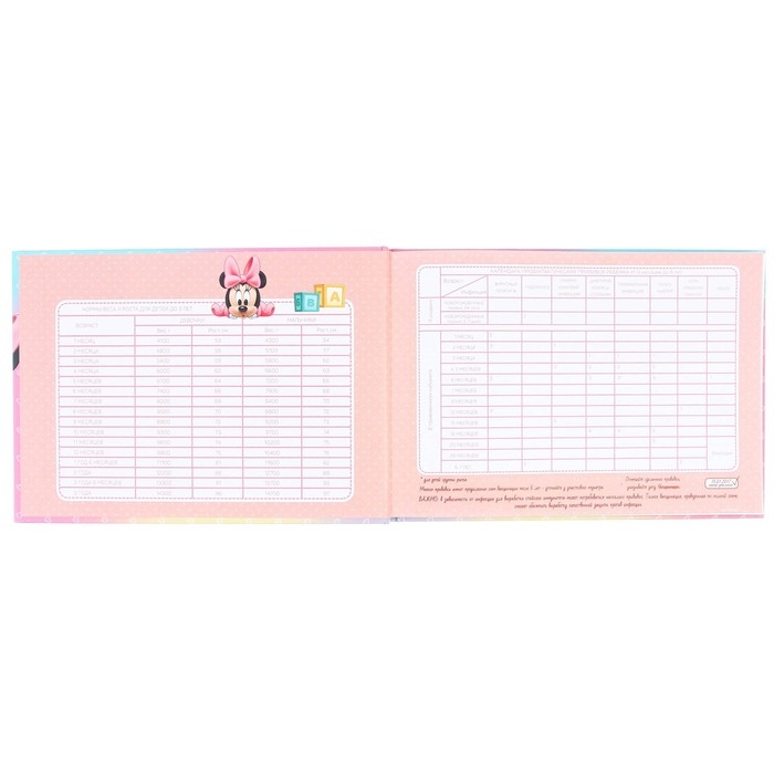 Медицинская карта-История развития ребёнка, Минни Маус Медицинская карта-История развития ребёнка, Минни Маус