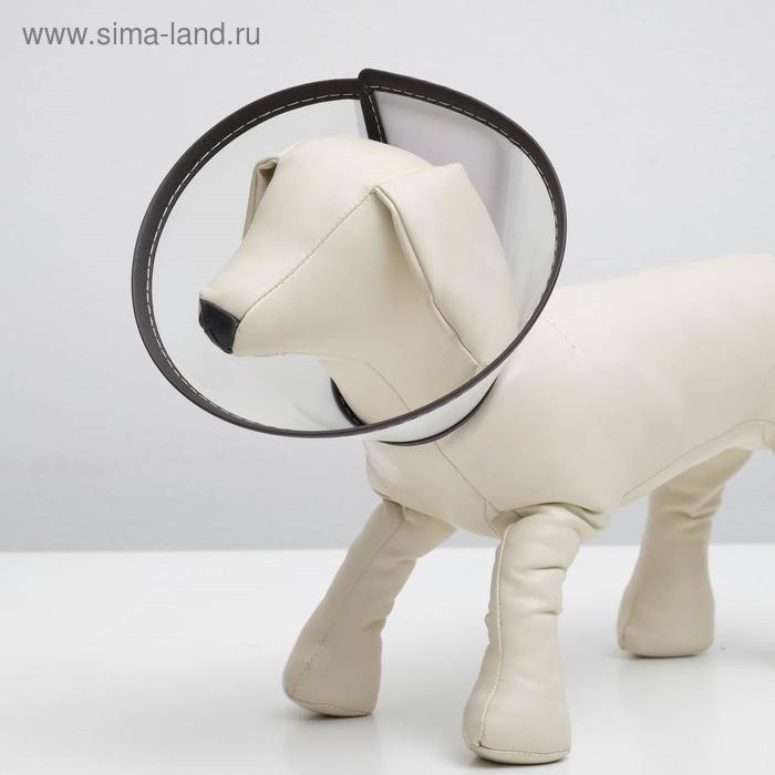 Ветеринарный воротник  Ветеринарный воротник "Пижон" №1, обхват шеи 14 см, высота 10 см