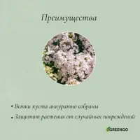 Кустодержатель для цветов, d=20 см, h=70 см, ножка d=0.3 см, металл, зелёный, Greengo