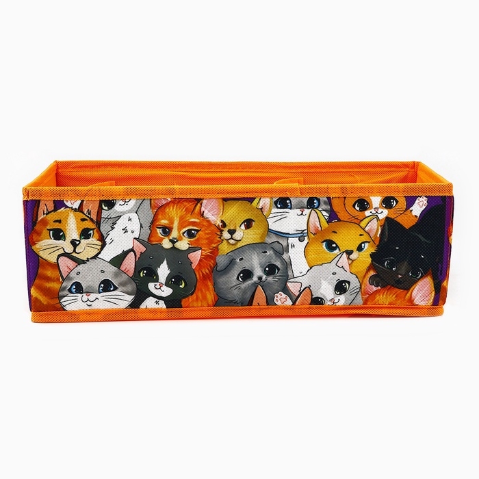 Органайзер для хранения, кофр для белья 6 ячеек Органайзер для хранения, кофр для белья 6 ячеек "Котята",32 х 15 х 10 см