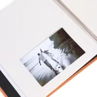 Фотоальбом магнитный, 20 листов &laquo;Тея&raquo;, шпатель, ручка в комплекте, 3.3&times;26.5&times;28 см