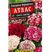 Набор Семена цветов Гвоздика турецкая многолетняя (238758319) ВБ