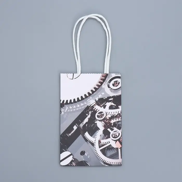 Пакет подарочный крафтовый, упаковка, Present, 15 х 10 х 6 см Пакет подарочный крафтовый, упаковка, Present, 15 х 10 х 6 см