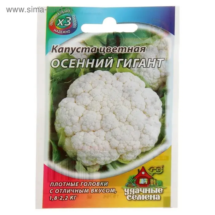 Семена Капуста цветная Семена Капуста цветная "Осенний гигант", ц/п, 0,1 г серия ХИТ х3