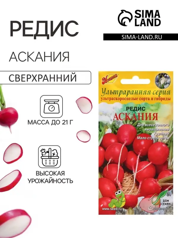 Семена Редис "Аскания", 130 шт
