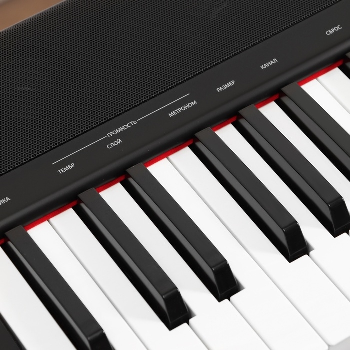 Электронное пианино DENN PRO PW01, 8 тембров, полифония 48 нот, 88 клавиш Электронное пианино DENN PRO PW01, 8 тембров, полифония 48 нот, 88 клавиш