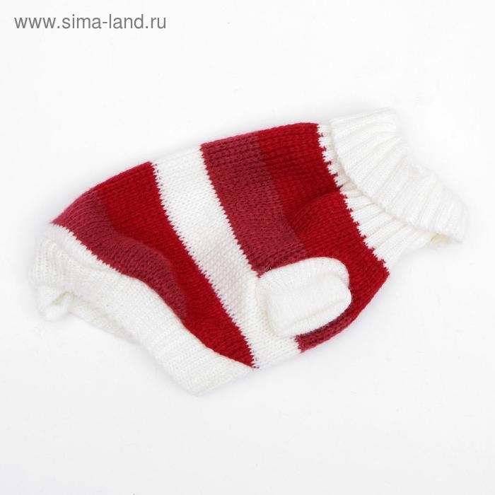 Свитер, размер 6 (24-28 см), микс расцветок Свитер, размер 6 (24-28 см), микс расцветок