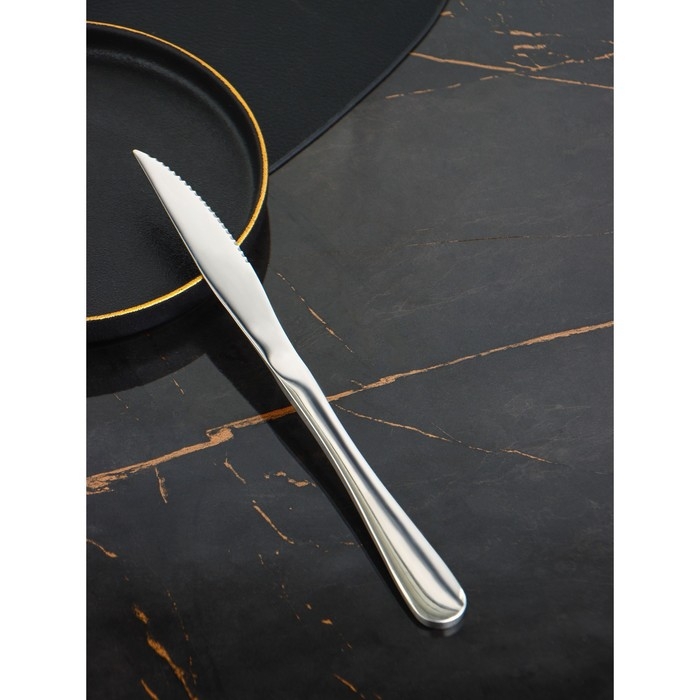 Ножи для стейка из нержавеющей стали Доляна, длина 23 см, толщина рабочей части 2,2 мм, толщина ручки 5 мм, 410 сталь, 3 шт Ножи для стейка из нержавеющей стали Доляна, длина 23 см, толщина рабочей части 2,2 мм, толщина ручки 5 мм, 410 сталь, 3 шт