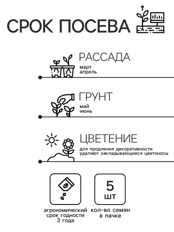 Семена комнатных цветов Колеус &laquo;Визард Скарлет&raquo;, 5 шт., &laquo;Семена Алтая&raquo;