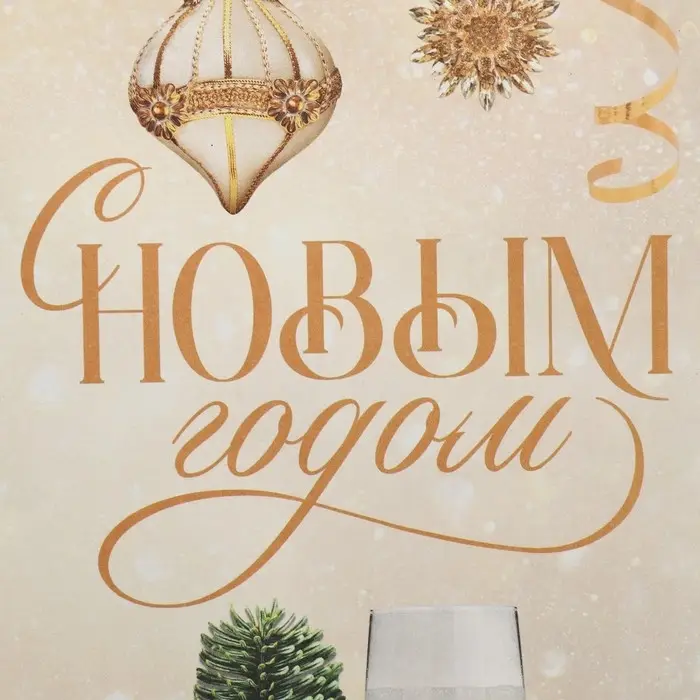 Пакет под бутылку «Шампанское», 13 x 36 x 10 см Пакет под бутылку «Шампанское», 13 x 36 x 10 см