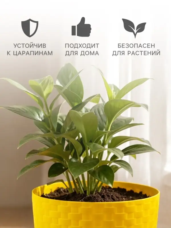 Горшок для цветов с поддоном &laquo;Ротанг&raquo;, 1.2 л, d=13 см, h=12 см, пластиковый, жёлтый