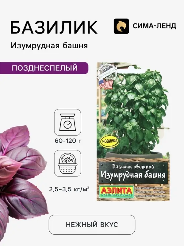 Семена Базилик овощной &laquo;Изумрудная башня&raquo;, 10 шт., &laquo;Аэлита&raquo;